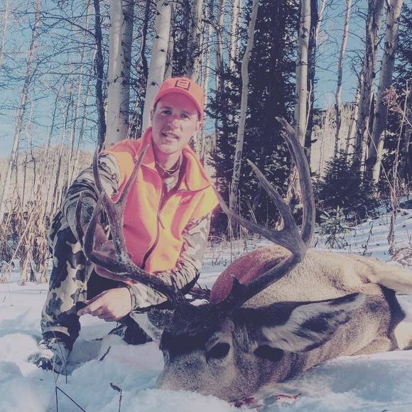 Meet your Posher, Logan - Picture 1 of 1